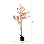 Nearly Natural 4.5' Autumn Pieris Artificial Fall Tree (T4737)~#|#~0EBA68B3-115C-4588-8C59D50683197A16_sc7