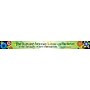 Barker Creek Double-Sided Border, 35" x 3", Italy Fiori Bellissimi, 12/Pack (LL959)~#|#~0ECB2FBD-96F5-485A-B4E0E9462F1851EE_sc7