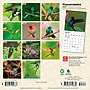 2027 BrownTrout Hummingbirds 7" x 7" Monthly Wall Calendar (9798330709830)~#|#~0EE76F67-525D-4183-8385F4E91C024EEB_sc7