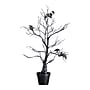 Nearly Natural Pre-Lit Artificial Halloween Black Spooky Twig Tree, 2' (T5230)~#|#~0EFC63AF-6929-4F6B-981E163C39FD6D91_sc7
