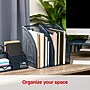 Staples Metal Mesh File Organizer, Navy Blue, 2/Pack (ST63837)~#|#~0F297A95-387A-4C15-AA11E3687484C416_sc7