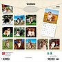 2026 BrownTrout Collies 12" x 12" Monthly Wall Calendar (9798330702985)~#|#~0F46C45E-69E5-4386-AFC4E5333130ECBD_sc7