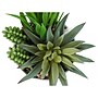 Monarch Specialties Inc. Succulents in Pots, 2/Pack (I 9588)~#|#~0F592B06-E19B-4E50-B8F5740CE0F4052D_sc7