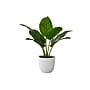 Monarch Specialties Inc. 17" Artificial Aureum Plant in Pot (I 9502)~#|#~0F660F8A-2038-4BC5-AC65DD4866390C36_sc7