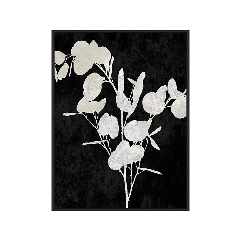 Amanti Art Plant Life White on Black III, Canvas, 23" x 30" (A42675515291) image 1