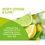 Bright Air Super Odor Eliminator Solid Air Freshener, Zesty Lemon & Lime (900248)~#|#~0F6D3CC8-D661-403F-9B056EC849175560_sc7