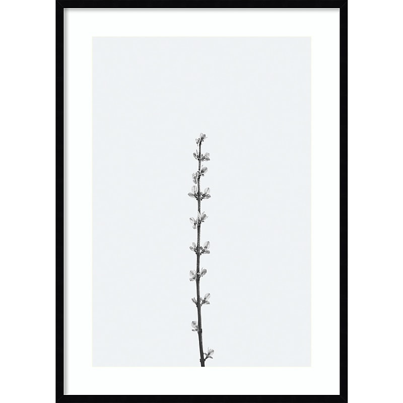 Amanti Art Retro Tennessee Botanical Print No 1 by Stephanie Klatt Wood Framed Wall Art Print, 30" x 41" (A42678254808) image 1