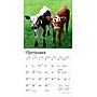 2026 BrownTrout Baby Moo Moos 7" x 7" Monthly Wall Calendar (9798330702275)~#|#~0F8B6882-72AE-4CFE-9686BD60A5C07641_sc7