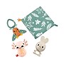 Fisher-Price So Many Senses Gift Set (HRB17)~#|#~0F973432-9BFF-4A21-B2548463CA7D69D1_sc7