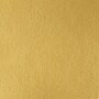 Liquitex Professional Heavy Body Acrylic Paint Tube, Iridescent Bright Gold, 138 mL (LIQ4417234)~#|#~0FA31673-FD29-43EF-AB2DF09E7068C181_sc7