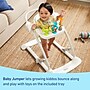 Graco JumpStart 4-in-1 Activity Bouncer, Wren (2203028)~#|#~0FADBC5F-99C8-4BFF-A752226AEDFDB4CE_sc7