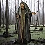 Haunted Hill Farm Life-Size Poseable Witch (HHWITCH-13FLSA)~#|#~0FB838CF-3EC7-416B-80A59285F37F7826_sc7
