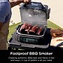 Ninja Woodfire Outdoor Grill & Smoker (OG301)~#|#~0FB8AC46-4D5B-44FB-83313D504E244738_sc7