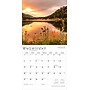2026 BrownTrout Colorado National Parks & Monuments 12" x 12" Monthly Wall Calendar (9798330702992)~#|#~0FCD8DC8-72DE-42E4-8F531A350F9C749F_sc7