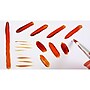 Silver Brush Bristlon Short Handle Round Brushes, 7/Set (SLVBR1955)~#|#~0FDCBD22-392C-47F0-9A47CF1BA121D387_sc7
