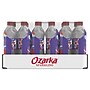 Ozarka Sparkling Water, Triple Berry, 16.9 oz. Bottles, 24/Carton (12349551)~#|#~0FDFBFA9-63E1-4336-823E7F0A3B5286AF_sc7