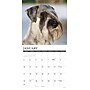 2027 Willow Creek Multi 12" x 12" Monthly Wall Calendar, Assorted Colors (62180)~#|#~104AA2E1-C178-4392-AFEB661F78653183_sc7