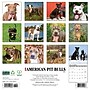 2026 Willow Creek American Pit Bull Terriers 12" x 12" Monthly Wall Calendar (49846)~#|#~1058C596-8712-473B-B3D21697C9B53518_sc7