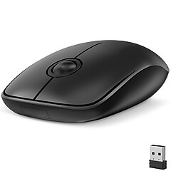 Apple Magic Wireless Ambidextrous Laser Mouse, Black/Silver