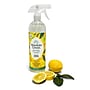Absolute Green Eco-Friendly All-Purpose Cleaner, Fresh Lemon Scent, 25 Fl Oz., 6/Carton (AG2-ST-6)~#|#~1092D84D-BFC7-46B1-B0B6E278615A199C_sc7