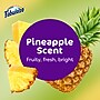 Fabuloso 2X All-Purpose Cleaner, Pineapple Scent (61052982)~#|#~10997F8E-D8EF-4AE9-B5622B811709502E_sc7
