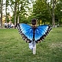Insect Lore Dress-Up Morpho Butterfly Wings, Blue (ILP4810)~#|#~10A6C356-3DED-40CF-8129E5557E7E1E8E_sc7