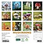 2027 Willow Creek Mushrooms 7" x 7" Monthly Wall Calendar, Assorted Colors (64092)~#|#~10B99430-37F1-4F0F-827EB3B1F5CF98ED_sc7