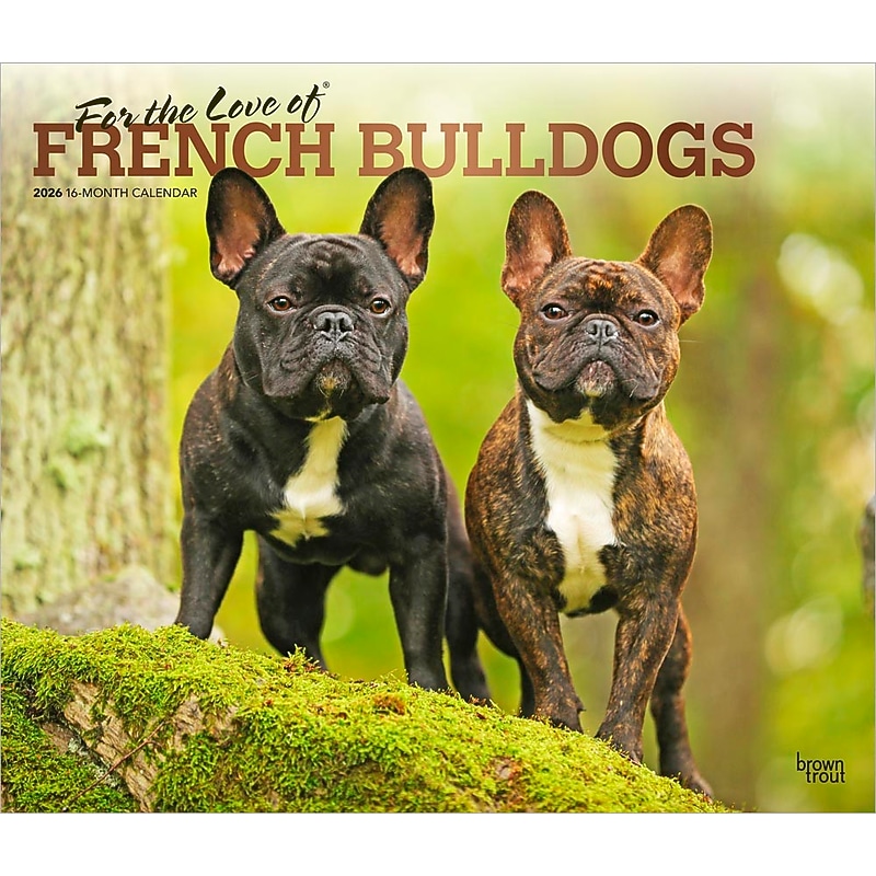 2026 BrownTrout For the Love of French Bulldogs 14" x 12" Monthly Wall Calendar (9798330707201) image 1