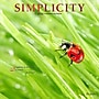 2026 Plato Simplicity 12" x 12" Monthly Wall Calendar (9798330706686)~#|#~10E170A4-3227-4780-9F8ABFF138E60DD6_sc7