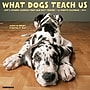 2027 Willow Creek What Dogs Teach Us 12" x 12" Monthly Wall Calendar, Assorted Colors (62890)~#|#~10E88315-CCCC-40E8-BF372B619478C2ED_sc7