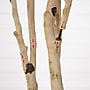Nearly Natural 9' Autumn Birch Artificial Fall Tree (T4806)~#|#~11033EBC-2C48-4381-AF5A1A39B910D05D_sc7