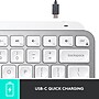 Logitech MX Keys Mini Wireless Ergonomic Keyboard, Pale Gray (920-010473)~#|#~110E11EF-E7A6-456A-A0F3B9AC41C48F24_sc7