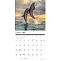 2026 Willow Creek Dolphins 12" x 12" Monthly Wall Calendar (55403)~#|#~1115914A-A68C-4BA2-A8E285D92E5DC626_sc7
