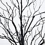 Nearly Natural Pre-Lit Halloween Black Twig Artificial Tree, 5' (T5167)~#|#~1129AED8-2067-4518-8D5552B9057EC795_sc7