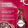 Febreze AIR Aerosol Air Freshener & Deodorizer, Cranberry Crumble Scent, 8.8 oz., 2/Pack (03207)~#|#~11460A9B-0375-4B8B-99450795EE5D0970_sc7