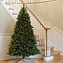 National Tree Company North Valley Spruce Artificial Christmas Trees (NRV7-301-70)~#|#~1146D52E-1932-4AAE-8862DC899F43ED48_sc7
