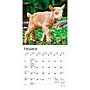 2027 BrownTrout Baby Goats 7" x 7" Monthly Wall Calendar, Assorted Colors (9798330709762)~#|#~11777245-63D3-49D4-B55300C08C5D9B9E_sc7