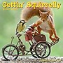 2027 Willow Creek Gettin' Squirrelly 7" x 7" Monthly Wall Calendar, Assorted Colors (64030)~#|#~1180A115-9BF7-4755-B68A7323F4C8291B_sc7