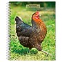 2027 BrownTrout Chickens 6.5" x 7.8" Calendar Year Weekly Standard Planner, Multicolor (9798330714919)~#|#~1194562C-9014-4048-B6003F9172B14FFB_sc7