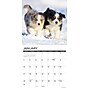 2027 Willow Creek Australian Shepherd Puppies 12" x 12" Monthly Wall Calendar, Assorted Colors (58923)~#|#~11A19D28-77B7-4FA6-B30F2DB101DCFC70_sc7