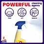 Mr. Clean PRO All Surface Cleaner Commercial Grade, 1 Gallon (24345)~#|#~11AD44F3-DEE2-423E-BABD89594994DA03_sc7