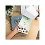 The Happy Planner Cheerful Seasons Value Pack Stickers, Assorted Colors, 608/Pack (SVP130-129)~#|#~11C114E4-D232-442B-949BA1A0FA6DF30E_sc7
