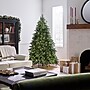 National Tree Company Princeton Fraser Fir Artificial Christmas Trees, 6.5 ft. (PEPO2-D08-65)~#|#~11C73B7B-666E-496C-BEB27358B8E48AA7_sc7