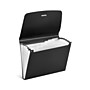 Staples Reinforced Plastic Accordion File, 7-Pocket, Letter Size, Black (TR51811)~#|#~11C7A8E5-2604-49FF-A458D32BC2BDE851_sc7