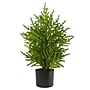 Nearly Natural Norfolk Island Pine Natural Look Artificial Tree in Decorative Planter, 2' (T1502)~#|#~11F6080E-D2B5-4F6A-8F2039F319850F6B_sc7