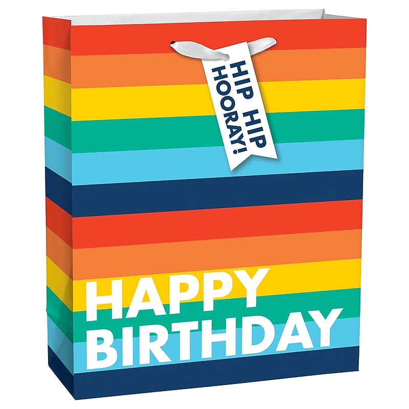 Party City Rainbow Stripe Birthday Medium Gift Bag, Multicolored (AM170805-NS) image 1