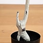 Nearly Natural 5' Autumn Paper Birch Artificial Fall Tree (T4746)~#|#~A94AEE33-B5C7-415F-A458ECD976F9CA36_sc7