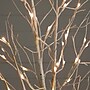 Nearly Natural 6-ft Pre-Lit Artificial White Birch Tree with 90 White LED Lights (T4931)~#|#~123663B7-5430-409C-B94ABF944140733C_sc7