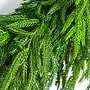 Nearly Natural Artificial Real Touch Norfolk Island Pine Wreath, 24" (W1396)~#|#~123E8817-EC1B-4D24-8AB9B0E3818FAA8C_sc7