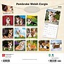 2026 BrownTrout Pembroke Welsh Corgis 12" x 12" Monthly Wall Calendar (9798330706242)~#|#~123F3D01-EE90-4301-AD08D01F92C54035_sc7